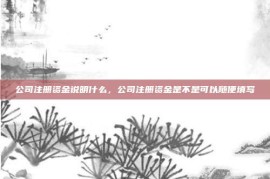 公司注册资金说明什么，公司注册资金是不是可以随便填写