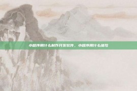 小程序用什么制作开发软件，小程序用什么编写