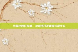 小程序的开发者，小程序开发者模式是什么