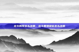 北斗叫号怎么注册，北斗智慧定位怎么注册