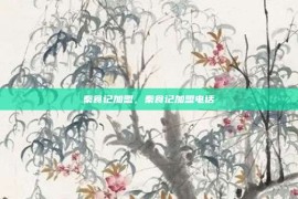 秦食记加盟，秦食记加盟电话
