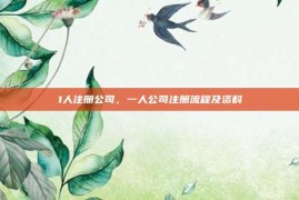 1人注册公司，一人公司注册流程及资料