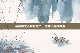 小程序怎么开发推广，怎样小程序开发