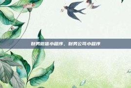 财务微信小程序，财务公司小程序