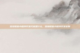宝安微信小程序开发代码是什么，深圳微信小程序开发定制