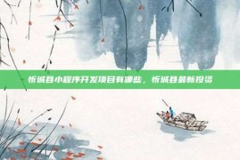 忻城县小程序开发项目有哪些，忻城县最新投资