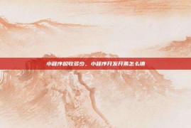 小程序税收多少，小程序开发开票怎么填
