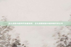 怎么查看小程序开发者选项，怎么查看微信小程序的开发公司