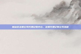 新站区注册公司代理记账中心，注册代理记账公司流程