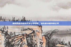 潮州网络小程序开发公司招聘，汕头做小程序的公司