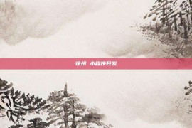 徐州 小程序开发
