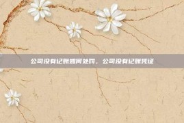公司没有记账如何处罚，公司没有记账凭证