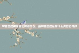 阿里巴巴用注册公司吗现在，做阿里巴巴注册什么类型公司好