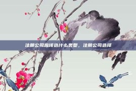 注册公司应该选什么类型，注册公司选择