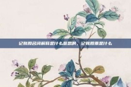 记账股名词解释是什么意思啊，记账股票是什么