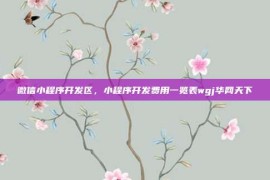 微信小程序开发区，小程序开发费用一览表wgj华网天下