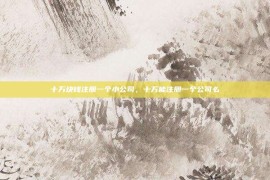 十万块钱注册一个小公司，十万能注册一个公司么