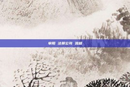 阜阳 注册公司 流程