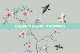 南城注册公司怎么办理，南城工商所地址