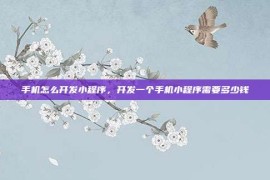手机怎么开发小程序，开发一个手机小程序需要多少钱