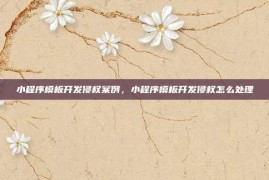小程序模板开发侵权案例，小程序模板开发侵权怎么处理