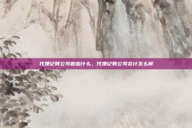 代理记账公司做些什么，代理记账公司会计怎么样