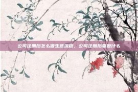 公司注册后怎么做生意流程，公司注册后要做什么