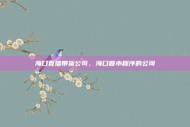 海口直播带货公司，海口做小程序的公司