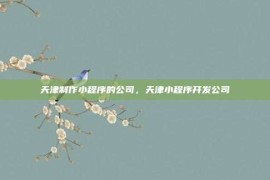 天津制作小程序的公司，天津小程序开发公司