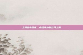 上海做小程序，小程序外包公司上海