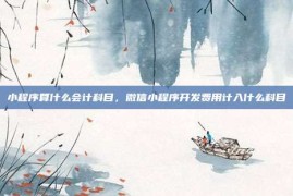 小程序算什么会计科目，微信小程序开发费用计入什么科目