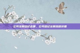 公司注册登记去哪，公司登记注册流程详细