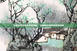注册公司可以买卖吗现在，注册的公司可以卖多少钱
