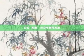 公交 发票，公交车费开发票