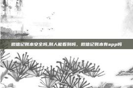 微信记账本安全吗,别人能看到吗，微信记账本有app吗