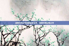 沭阳代账公司有哪些家公司，沭阳代理记账公司