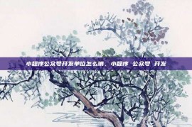 小程序公众号开发单位怎么填，小程序 公众号 开发