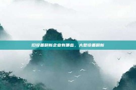 旧设备翻新企业有哪些，大型设备翻新