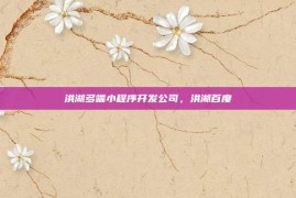 洪湖多端小程序开发公司，洪湖百度
