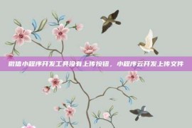 微信小程序开发工具没有上传按钮，小程序云开发上传文件
