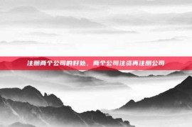 注册两个公司的好处，两个公司注资再注册公司
