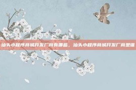 汕头小程序商城开发厂商有哪些，汕头小程序商城开发厂商是谁