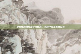 小程序应用开发公司排名，小程序开发服务公司