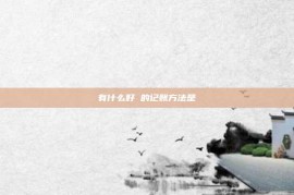 有什么好 的记账方法是