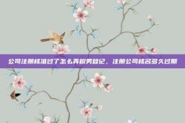 公司注册核准过了怎么弄税务登记，注册公司核名多久过期