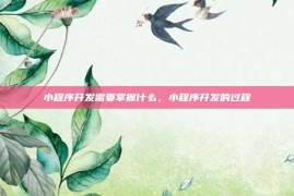 小程序开发需要掌握什么，小程序开发的过程