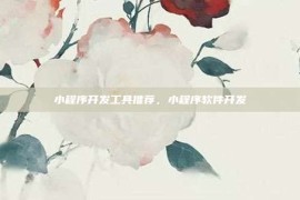 小程序开发工具推荐，小程序软件开发