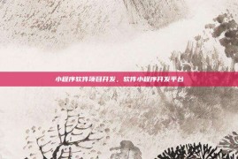 小程序软件项目开发，软件小程序开发平台