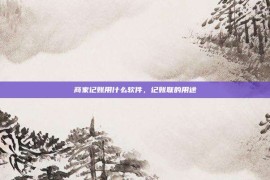商家记账用什么软件，记账联的用途