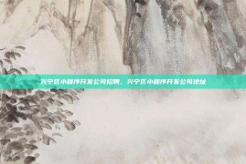 兴宁区小程序开发公司招聘，兴宁区小程序开发公司地址